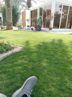 WhatsApp Image 2024-08-18 at 12.29.15 AM