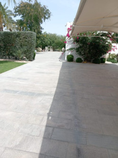 WhatsApp Image 2024-08-18 at 12.29.16 AM