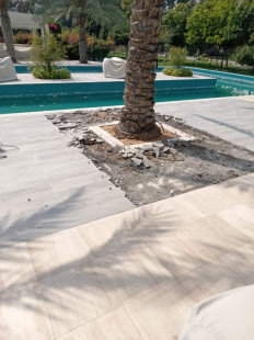 WhatsApp Image 2024-08-18 at 12.29.18 AM